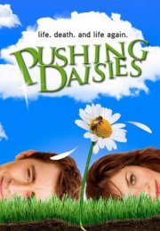 Pushing Daisies streaming guardaserie