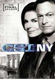 CSI: New York streaming guardaserie